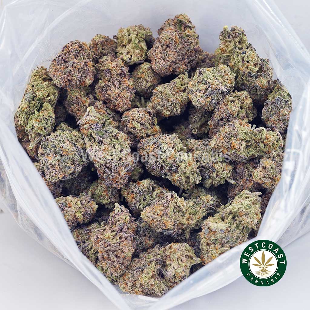 Purple Kush AAAA