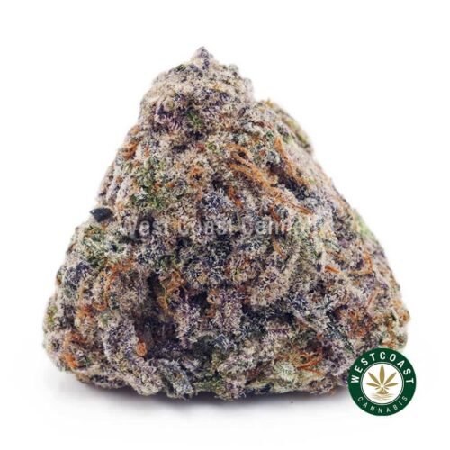 Purple Kush AAAA