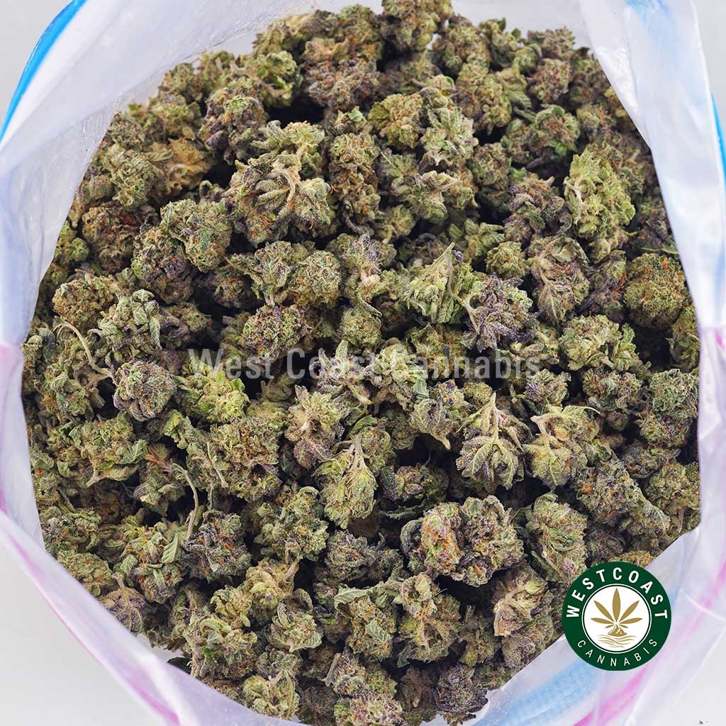 Purple Urkle AAAA (Popcorn Nugs)