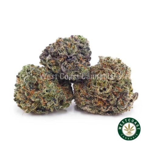 Purple Urkle AAAA (Popcorn Nugs)