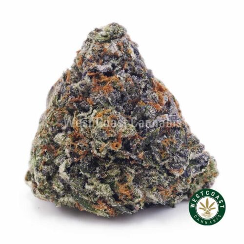 Rainbow Kush AAA