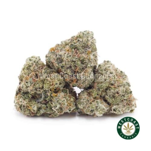 Russian Cream AAAA (Popcorn Nugs)