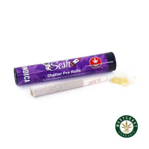 Sesh Shatter Joints – Indica