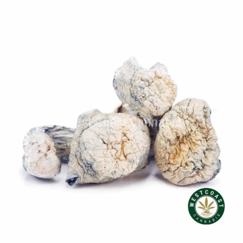 Shrooms – Albino Makilla
