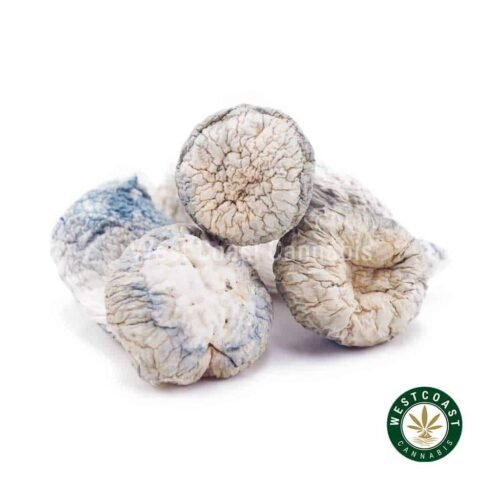Shrooms – Albino Penis Envy