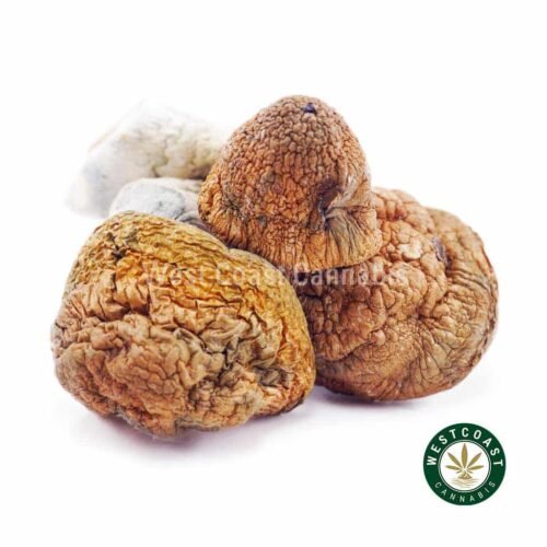 Shrooms – Blue Meanie