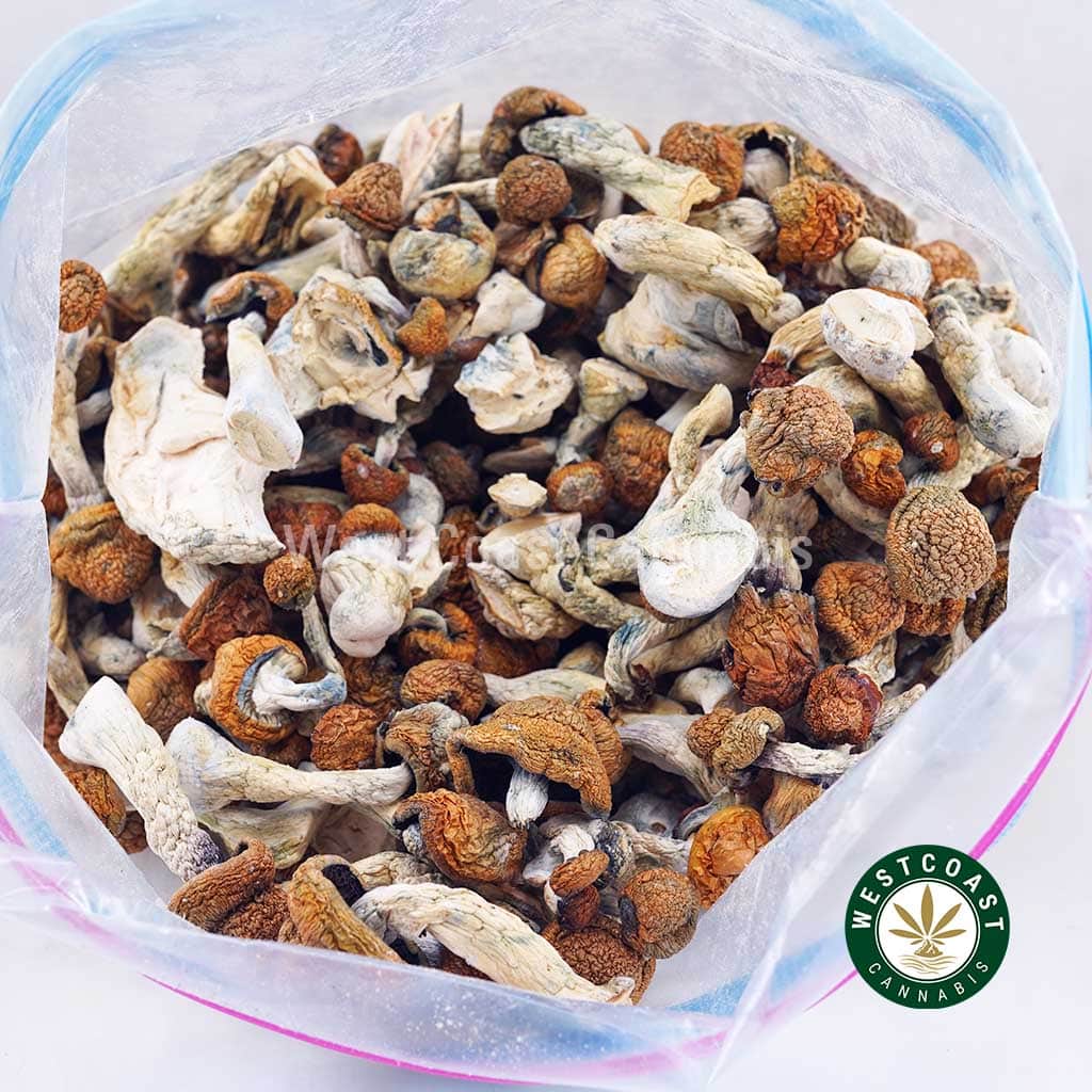Shrooms – Blue Meanie