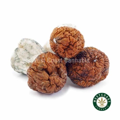 Shrooms – Blue Pulaski
