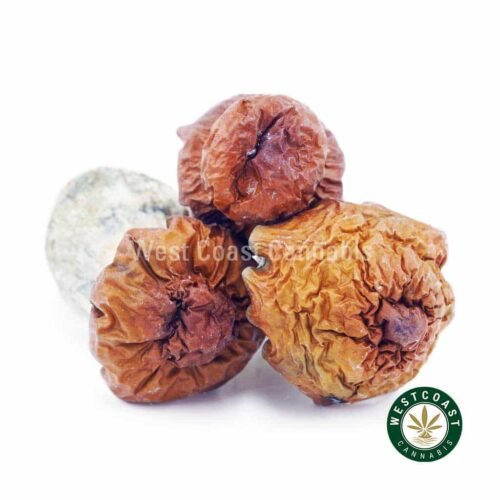 Shrooms – Bluey Vuitton