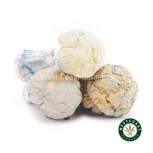 Shrooms Exotic – Iceberg
