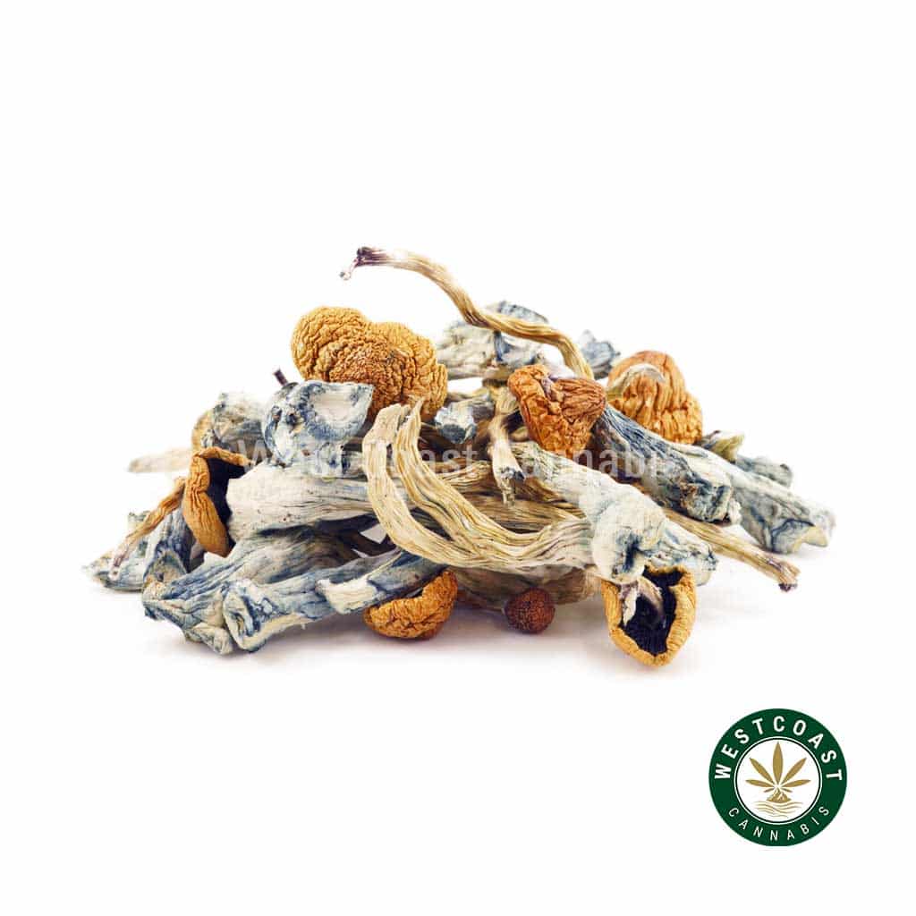 Shrooms – Jedi Mind Fuck