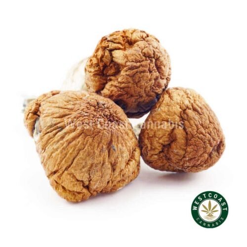 Shrooms – Jedi Mind Fuck