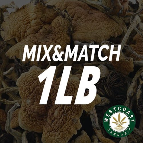 Shrooms – Mix and Match Full Pound