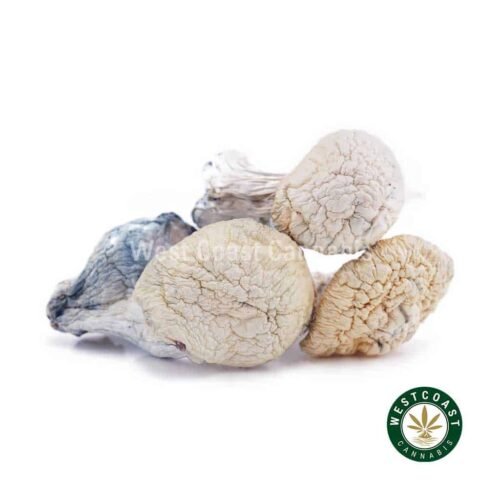 Shrooms – Snow White