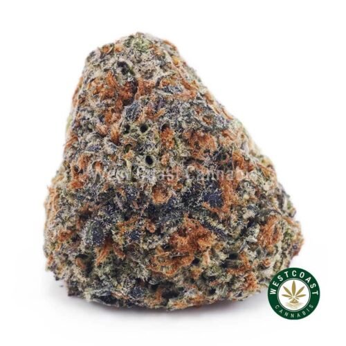 Skunk #1 AAAA