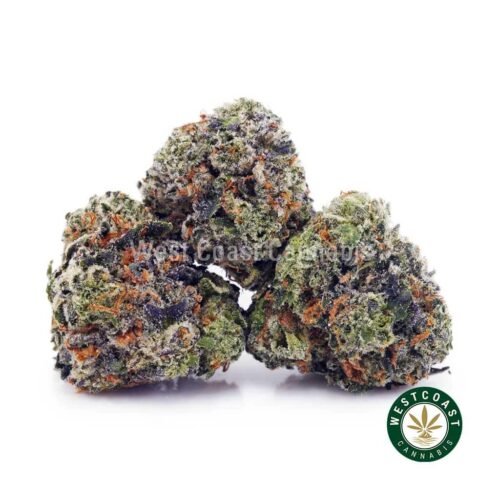 Slurricane AAAA (Popcorn Nugs)