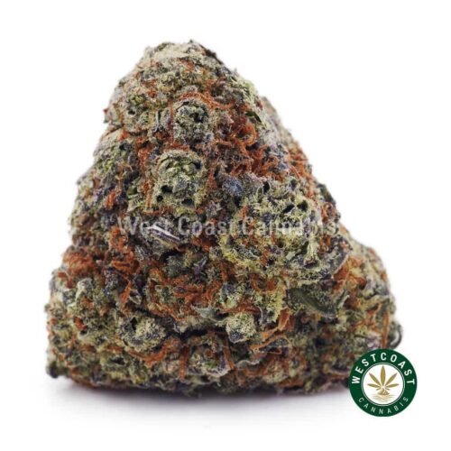 Snoop Dog OG AAAA