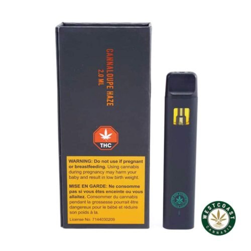 So High Extracts Disposable Pen – Cannaloupe Haze 2ML (Sativa)