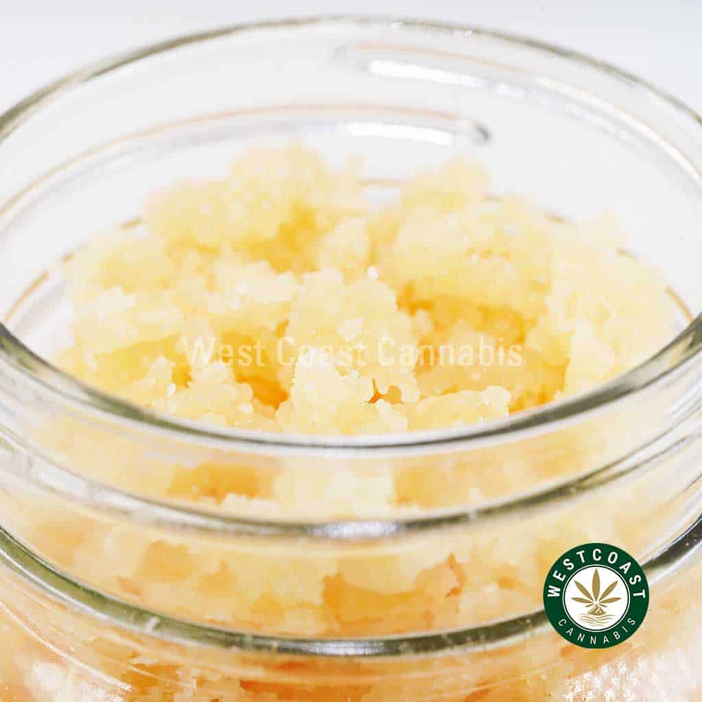 Sugar Wax – Greasy Pink (Indica)