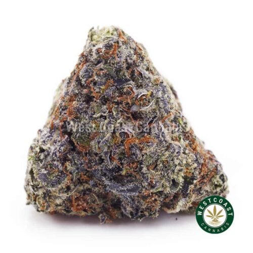Supreme Blueberry CheeseCake AAAA+