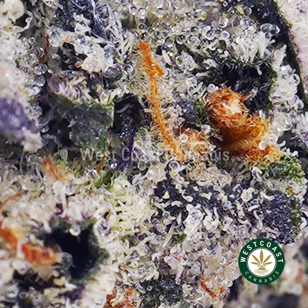 Supreme Death Bubba AAAA+