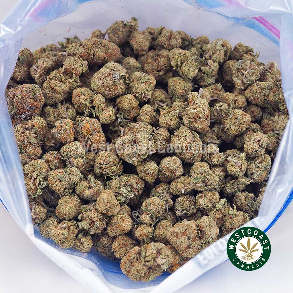 Train Wreck AAAA (Popcorn Nugs)