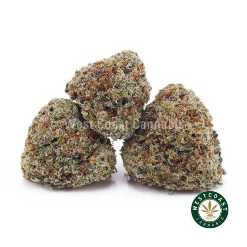 Train Wreck AAAA (Popcorn Nugs)
