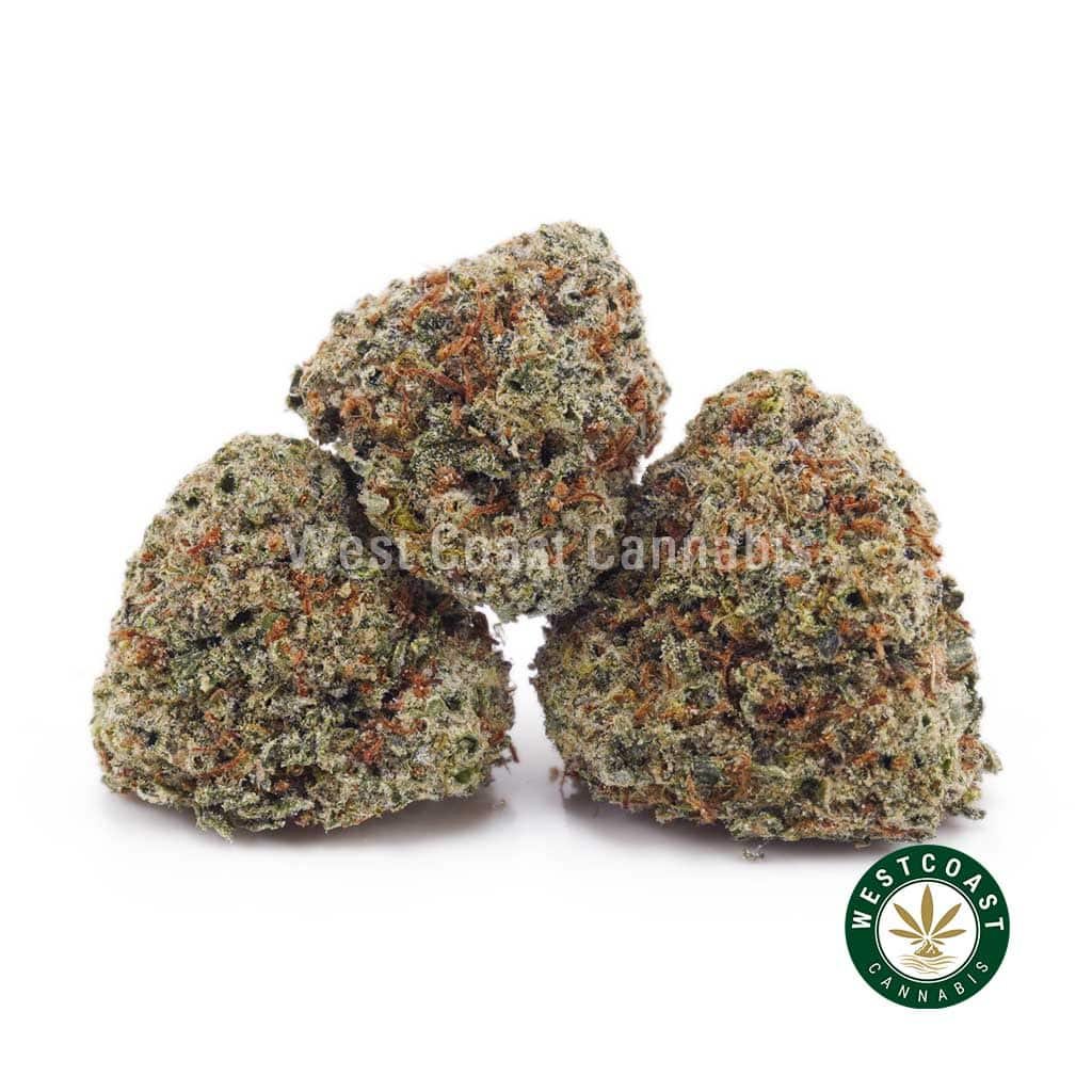 Train Wreck AAAA (Popcorn Nugs)
