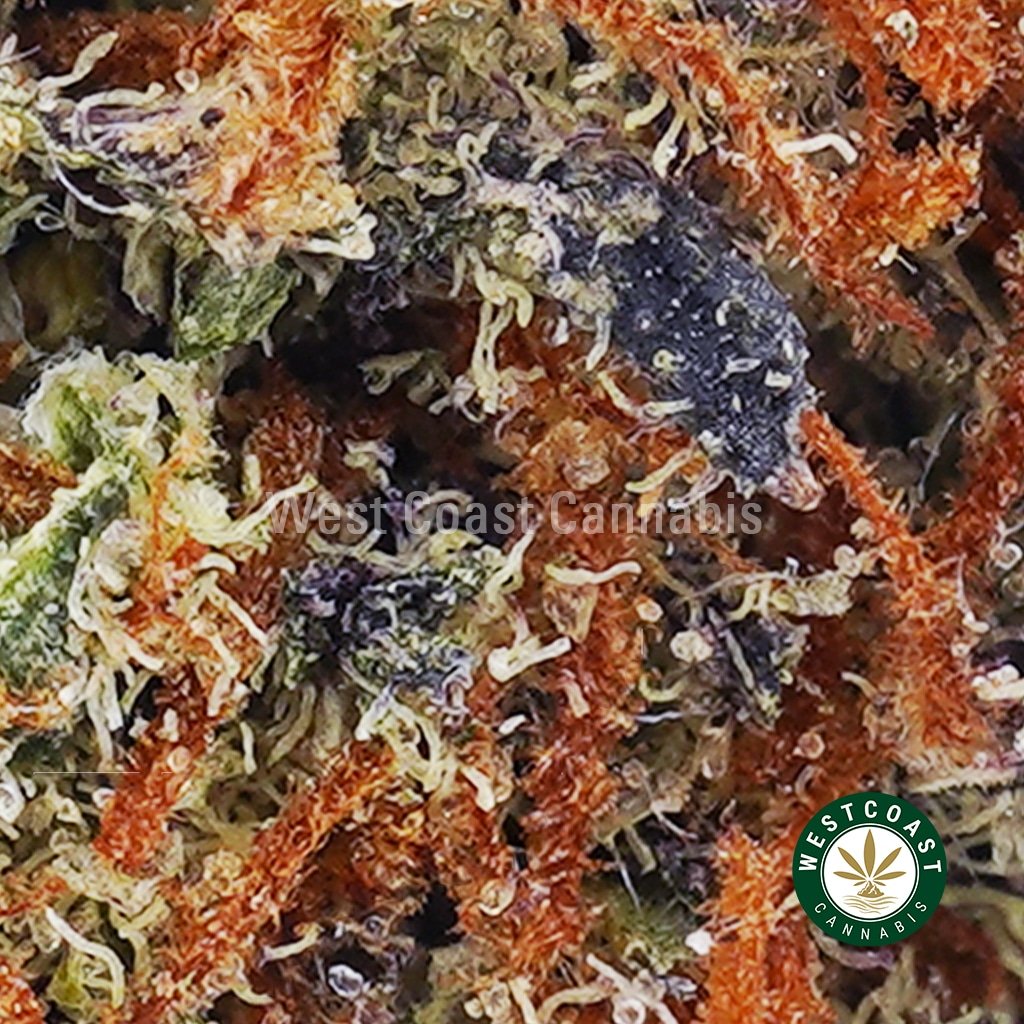 Trainwreck AA