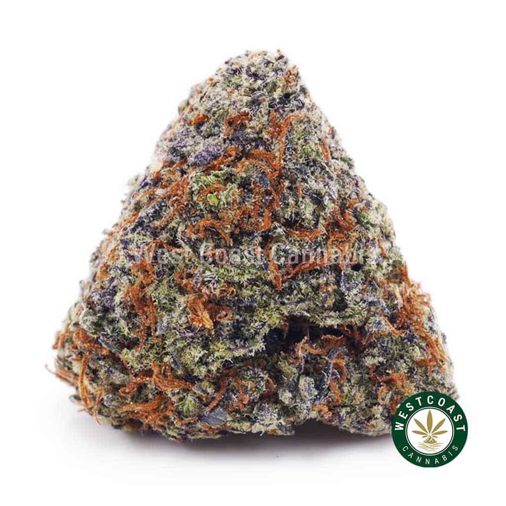 Trainwreck AA