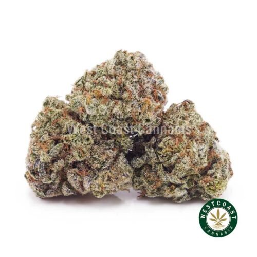 Tropicana Cookies AAAA (Popcorn Nugs)