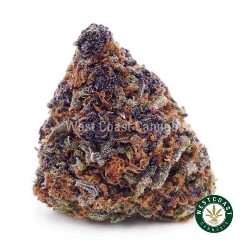 Watermelon Gelato AAAA