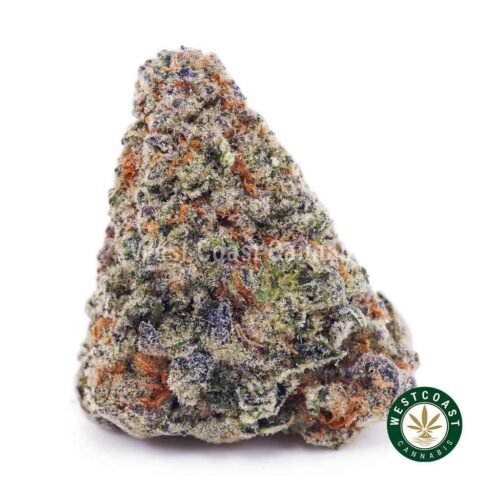 White Biscotti AAA