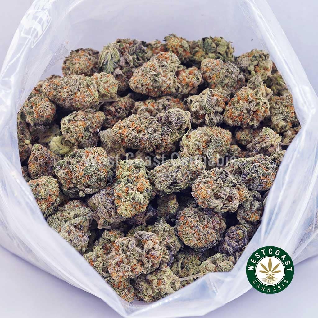 White Biscotti AAA