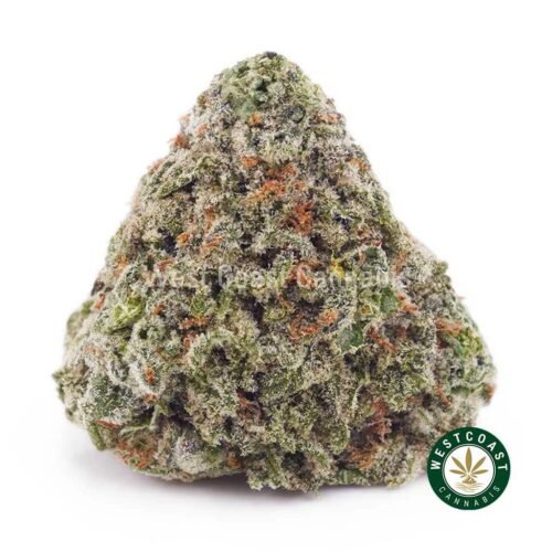 White Skunk AA